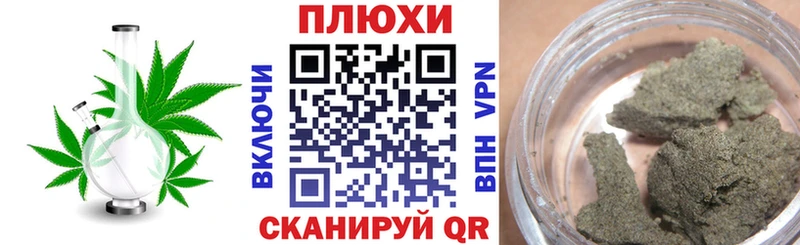 где купить наркоту  OMG ссылка  ГАШИШ Изолятор  Гурьевск 