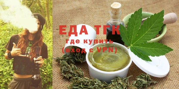дживик Бородино