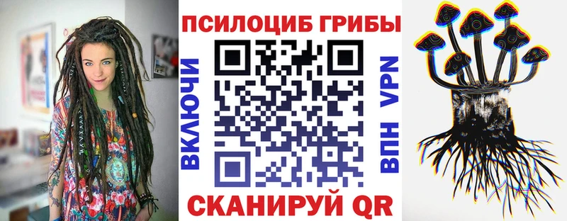 наркотики  Гурьевск  Псилоцибиновые грибы MAGIC MUSHROOMS 